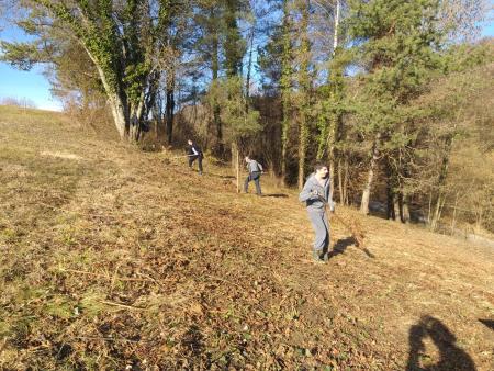 Delovna akcija Soncki 7